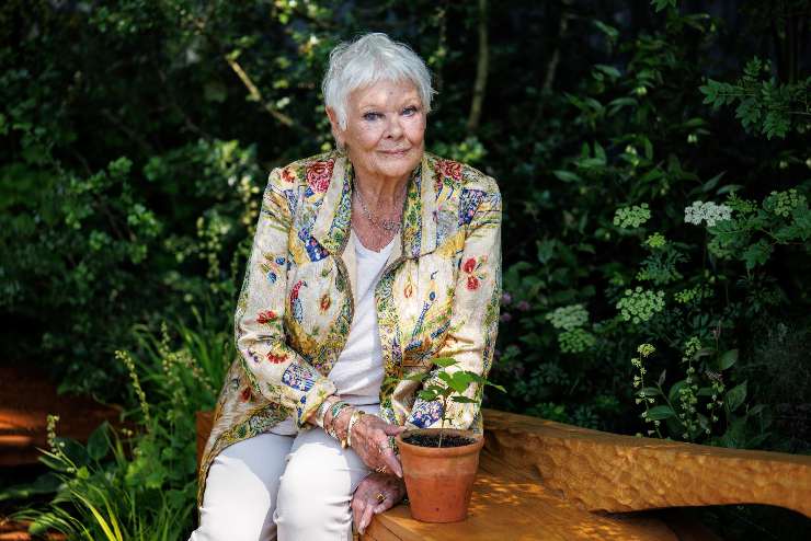 judi dench ritiro