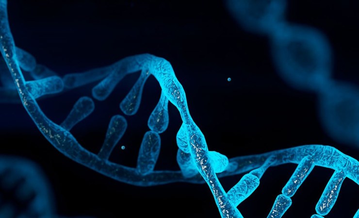 Ritrovati frammenti di DNA risalenti a due milioni di anni fa 